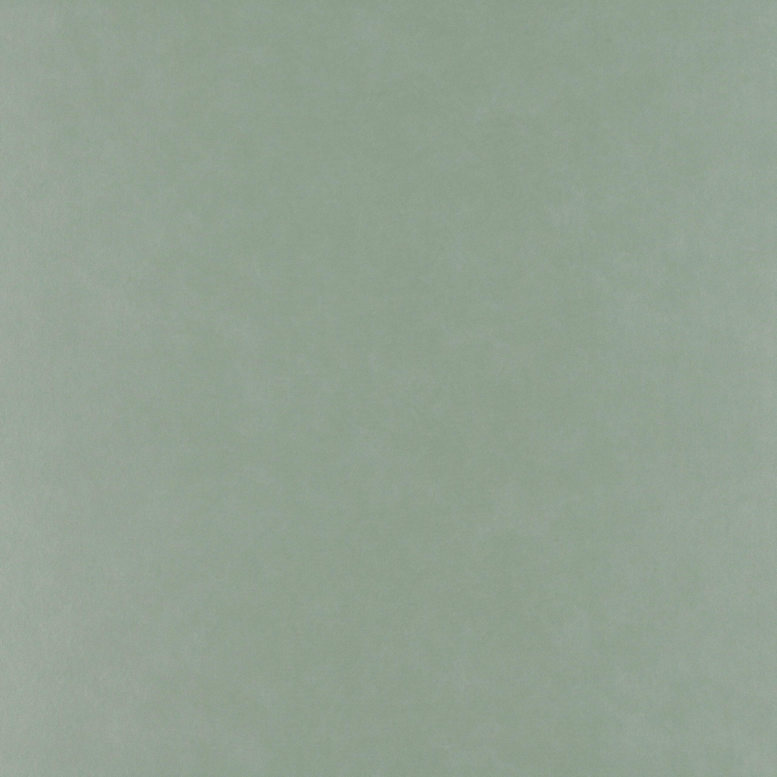 Smoothie - Mint