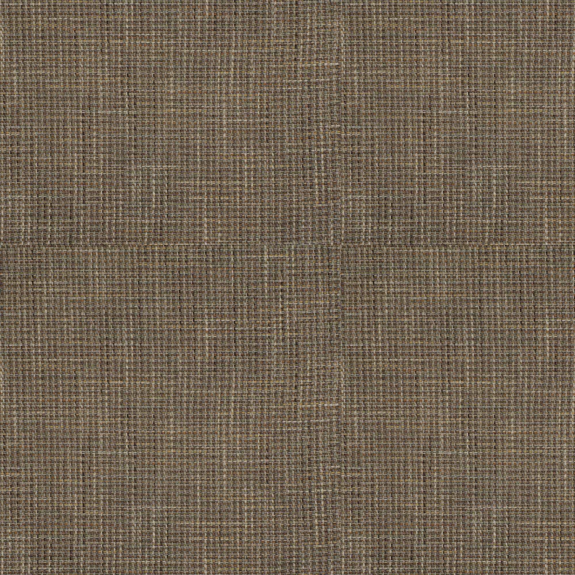Distinguished - Jute