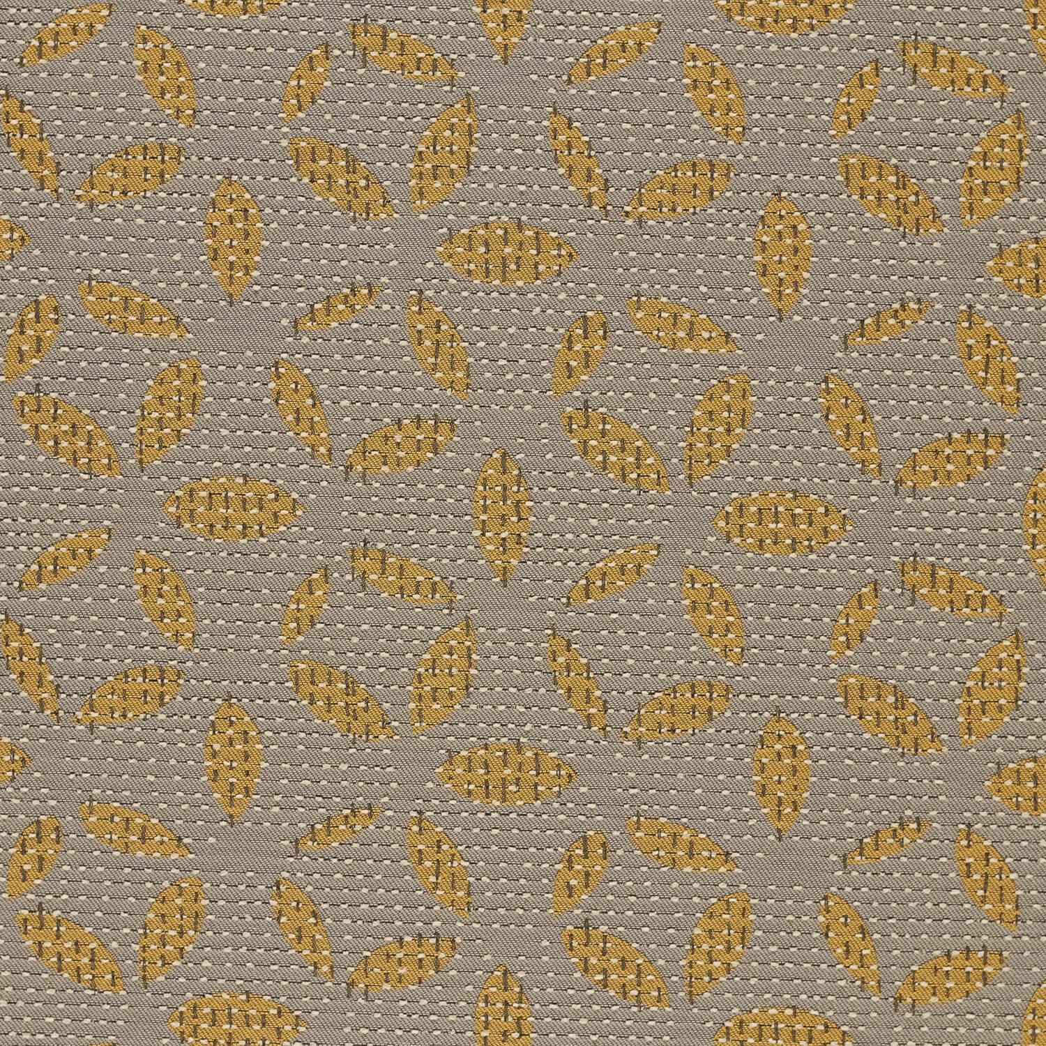 KANTHA Wheat CZ972-017